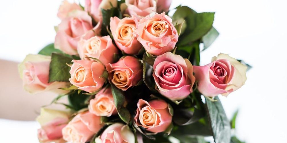 roses-4112951_960_720